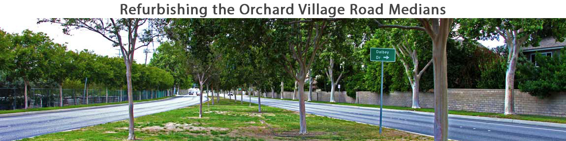 Orchard Village Road Median project